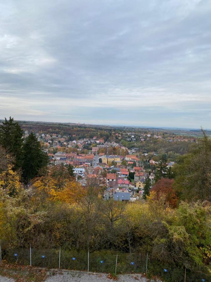 Apartmany Kladno - Libusin Esterno foto